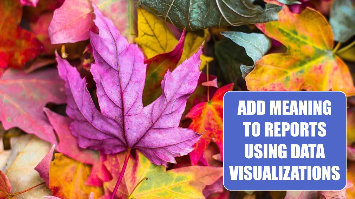 Excel 2024: Add Meaning to Reports Using Data Visualizations Excel 2024: Add Meaning to Reports Using Data Visualizations
