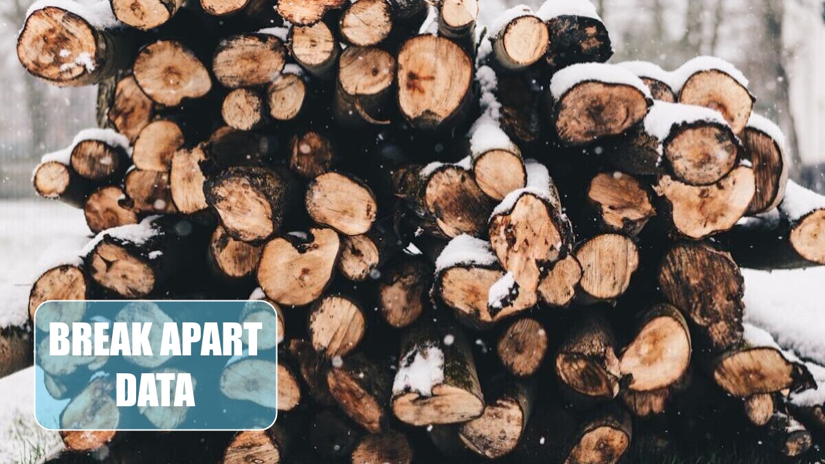 Excel 2024: Break Apart Data Excel 2024: Break Apart Data