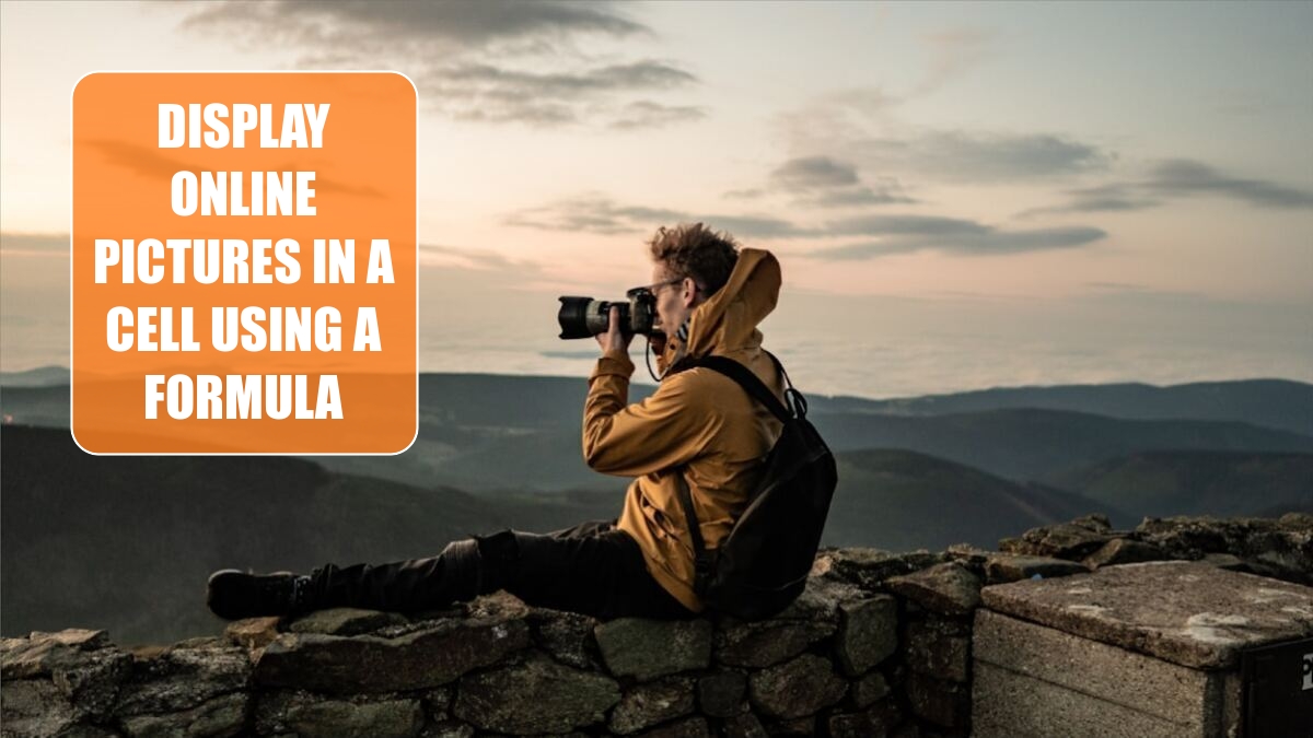 Excel 2024: Display Online Pictures In a Cell Using a Formula Excel 2024: Display Online Pictures In a Cell Using a Formula