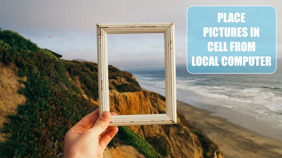 Excel 2024: Place Pictures In Cell From Local Computer Excel 2024: Place Pictures In Cell From Local Computer