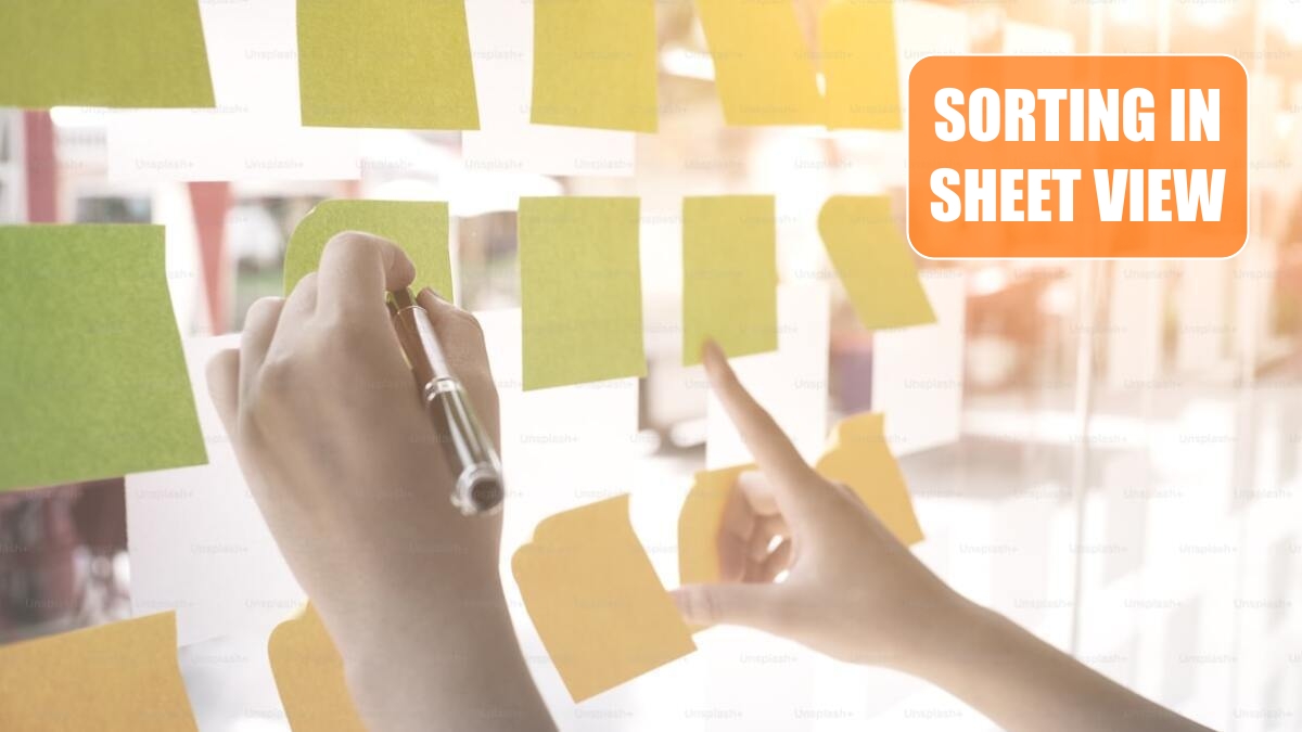 Excel 2024: Save Filter & Sorting in Sheet View Excel 2024: Save Filter & Sorting in Sheet View