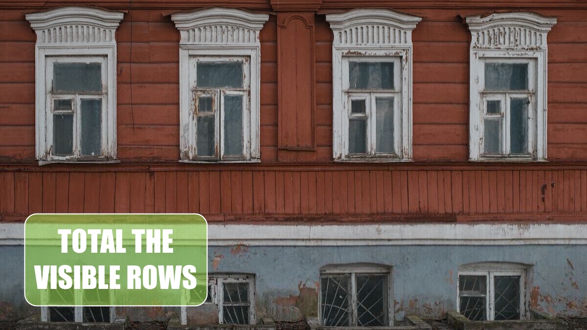Excel 2024: Total the Visible Rows Excel 2024: Total the Visible Rows