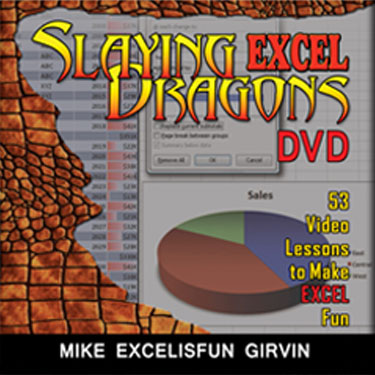 Slaying Excel Dragons DVD Slaying Excel Dragons DVD