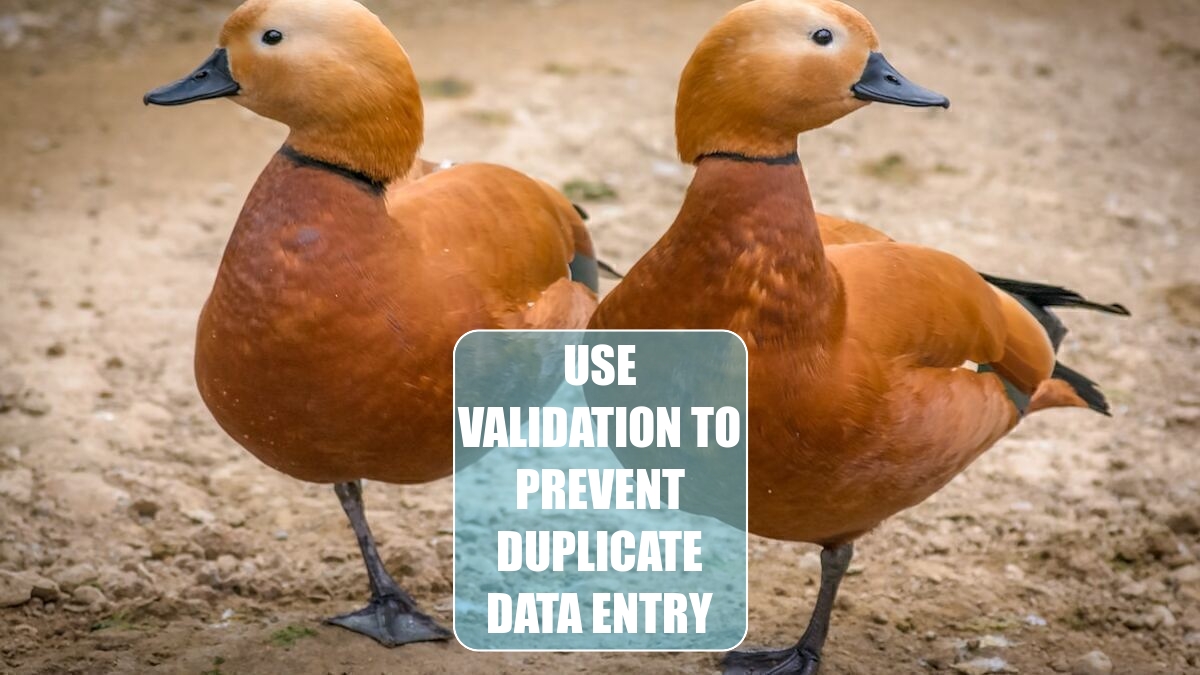 Use Validation to Prevent Duplicate Data Entry Use Validation to Prevent Duplicate Data Entry